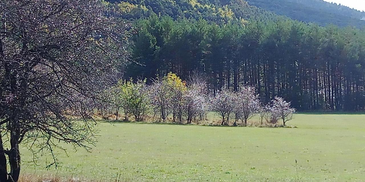 Séranon Montagne, Mer Et Verdon المظهر الخارجي الصورة