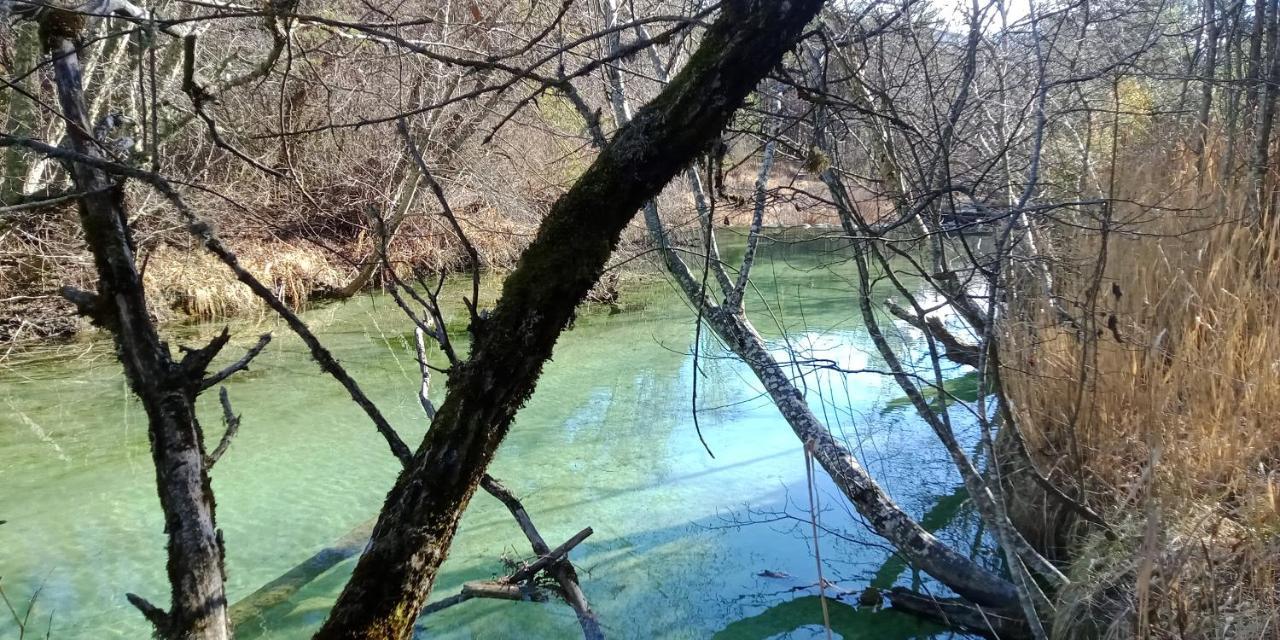Séranon Montagne, Mer Et Verdon المظهر الخارجي الصورة