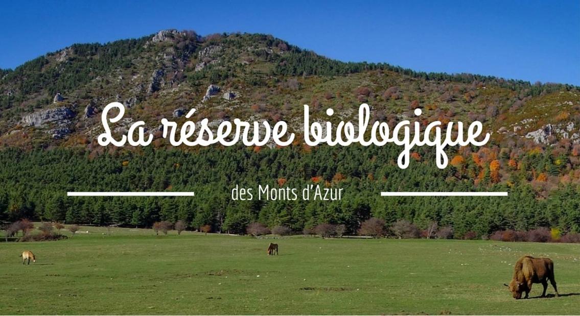 Séranon Montagne, Mer Et Verdon المظهر الخارجي الصورة